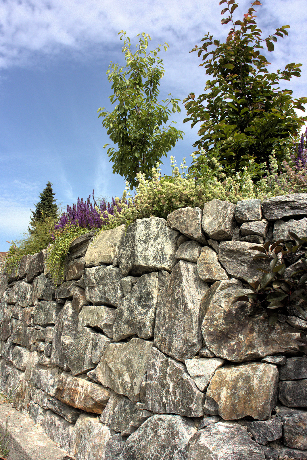 Trockenmauer aus Bruchstein mit Bepflanzung