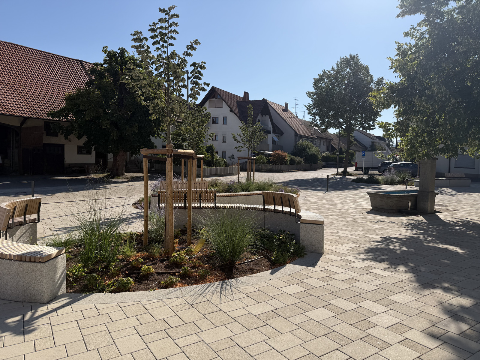 Gepflasterter Platz mit Baumbeet und Sitzbänken