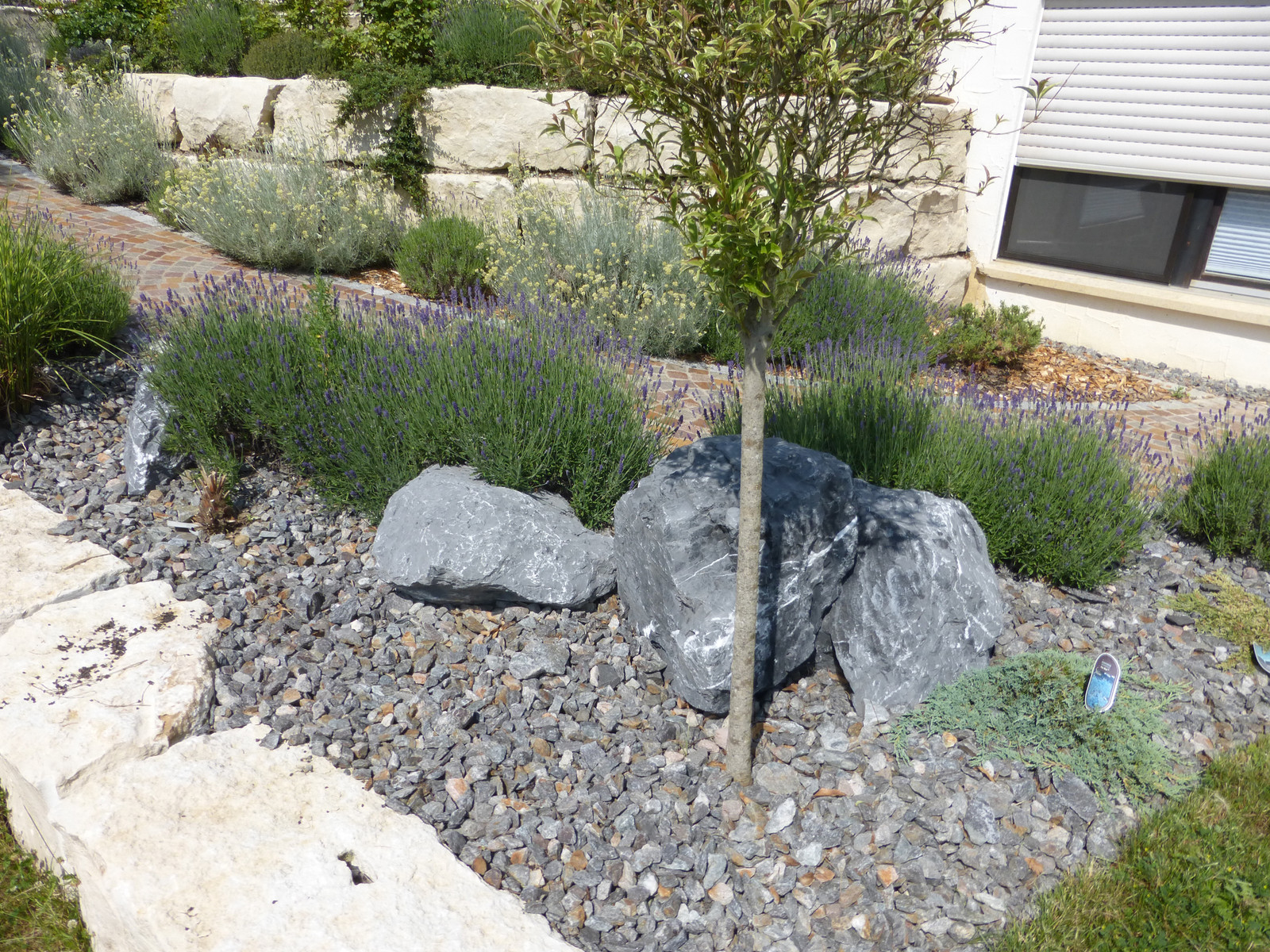 Kiesgarten mit Findlingen und Lavendel
