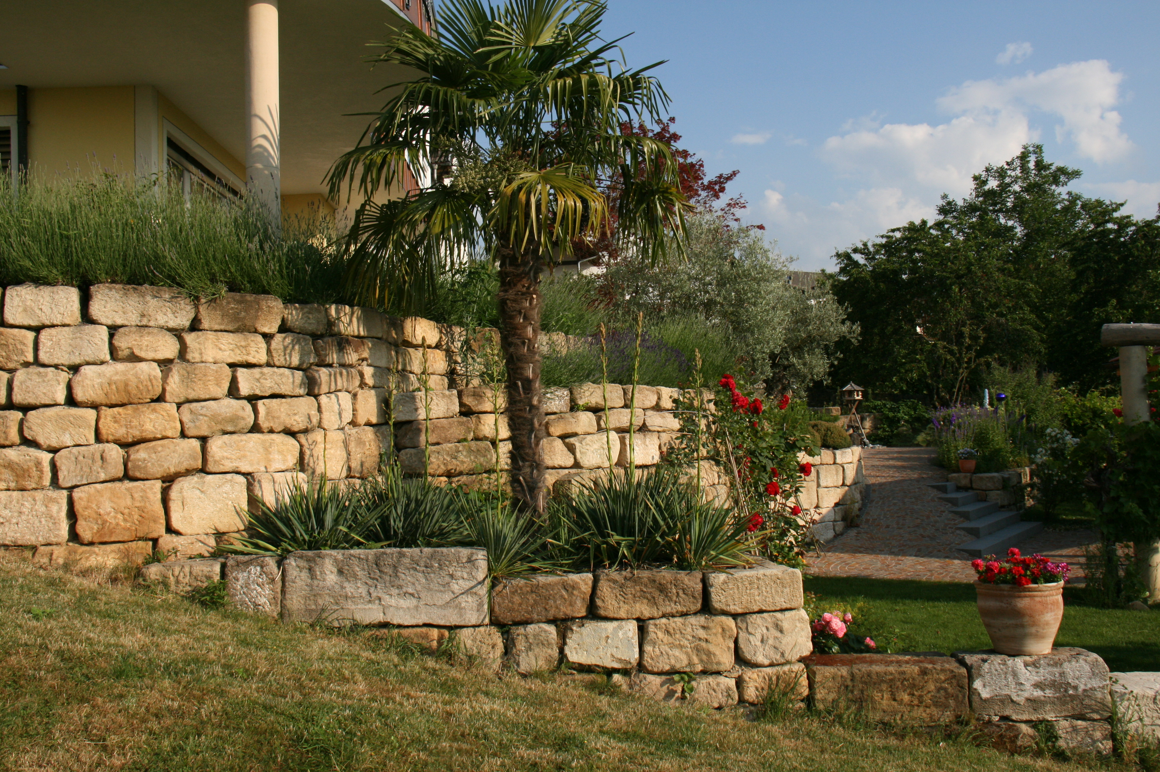 Natursteinmauer mit Palme und Yucca